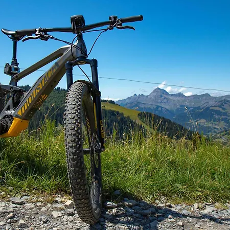 Skis Aux Pieds Avec Balcon Et Animaux Acceptes - Fr-1-505-50 *