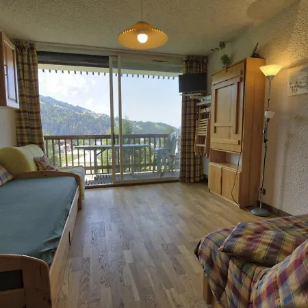 Skis Aux Pieds Avec Balcon Et Animaux Acceptés - Fr-1-505-50 Apartamento *