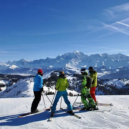 아파트 Skis Aux Pieds Avec Balcon Et Animaux Acceptes - Fr-1-505-50