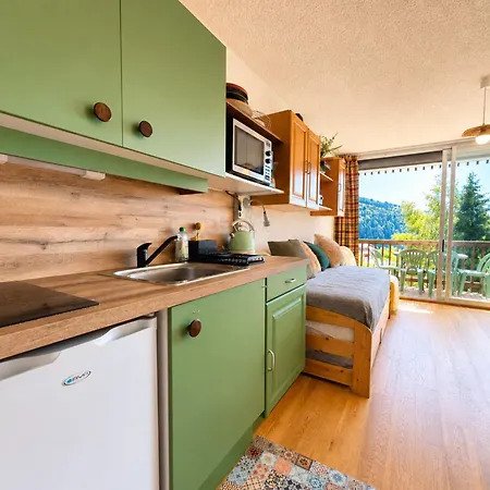 Skis Aux Pieds Avec Balcon Et Animaux Acceptes - Fr-1-505-50 Apartment