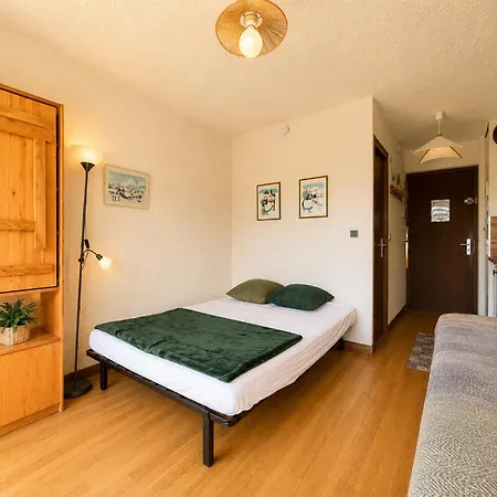 Skis Aux Pieds Avec Balcon Et Animaux Acceptés - Fr-1-505-50 *