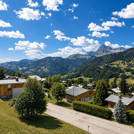 Skis Aux Pieds Avec Balcon Et Animaux Acceptes - Fr-1-505-50 Apartment Notre-Dame-de-Bellecombe