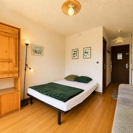 Skis Aux Pieds Avec Balcon Et Animaux Acceptes - Fr-1-505-50 Apartment