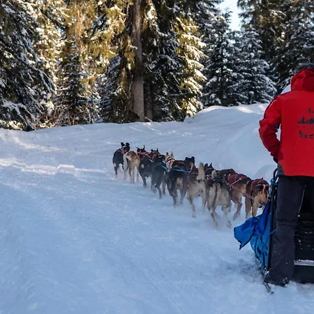 Skis Aux Pieds Avec Balcon Et Animaux Acceptes - Fr-1-505-50 Notre-Dame-de-Bellecombe